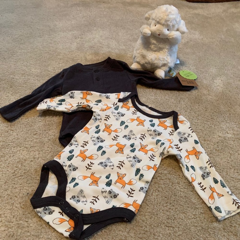 Chick Pea Two Piece Set Long Sleeve Bodysuits 0-3 Months NWT